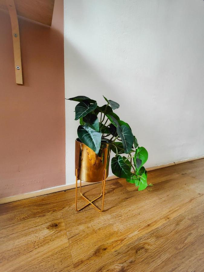 Charmant T2 Atypique, Renove, Confortable ベジエ エクステリア 写真